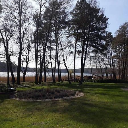 Penthouse Bernd Im Waldschloesschen Direkt Am See Wendisch Rietz Extérieur photo