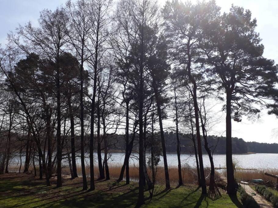 Penthouse Bernd Im Waldschloesschen Direkt Am See Wendisch Rietz Extérieur photo